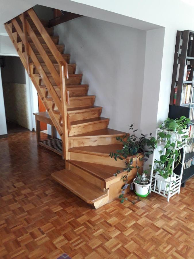 乌斯怀亚La Casa Del Mono住宿加早餐旅馆 外观 照片